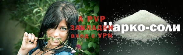 спиды Волоколамск