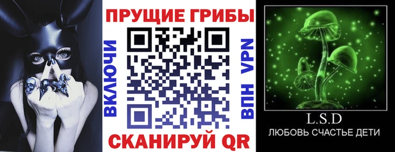 Галлюциногенные грибы Magic Shrooms  как найти закладки  Волосово 